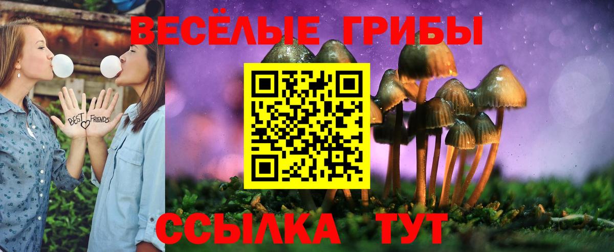 Партизанск  купить наркоту  Вход с VPN  Псилоцибиновые грибы мухоморы 